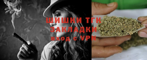 твердый Лиски