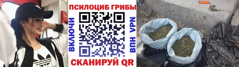 Галлюциногенные грибы мицелий  Юрюзань 